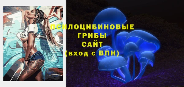 прущие крисы Алексин