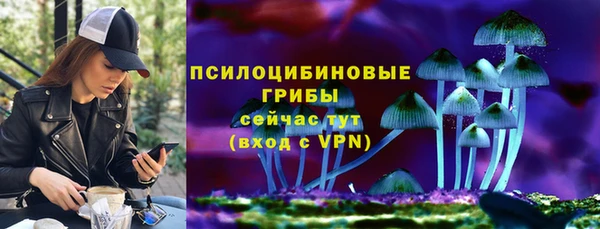 прущие крисы Алексин