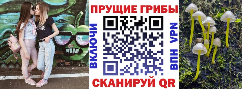 Галлюциногенные грибы мухоморы  Солнечногорск 