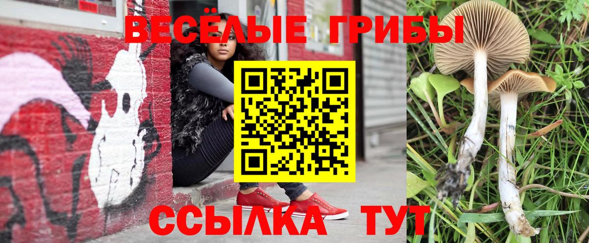 Галлюциногенные грибы Magic Shrooms  Вход с VPN  Псилоцибиновые грибы Cubensis  наркота  Солнечногорск 